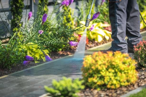 Professional Pressure Washing Services in Shell Rock, IA
